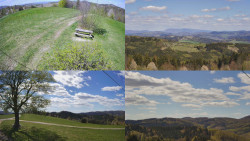 Sdružený snímek Bludný