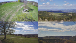 Sdružený snímek Bludný