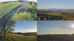 Sdružený snímek Bludný