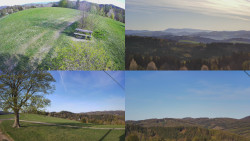 Sdružený snímek Bludný