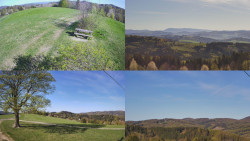 Sdružený snímek Bludný