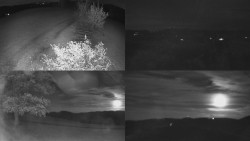 Sdružený snímek Bludný