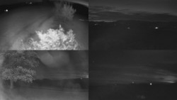 Sdružený snímek Bludný