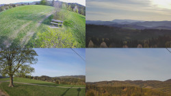 Sdružený snímek Bludný