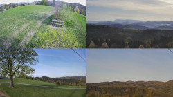 Sdružený snímek Bludný