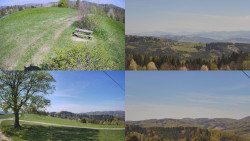 Sdružený snímek Bludný