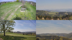 Sdružený snímek Bludný