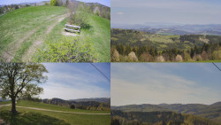 Sdružený snímek Bludný