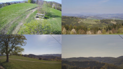 Sdružený snímek Bludný