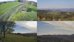 Sdružený snímek Bludný