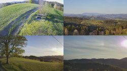 Sdružený snímek Bludný