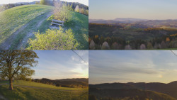 Sdružený snímek Bludný