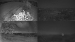 Sdružený snímek Bludný