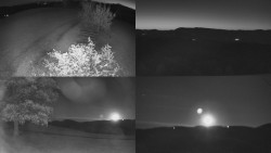 Sdružený snímek Bludný