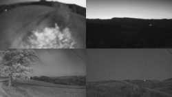 Sdružený snímek Bludný