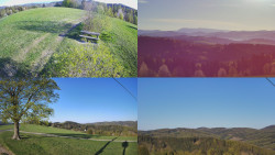 Sdružený snímek Bludný