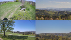 Sdružený snímek Bludný