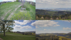 Sdružený snímek Bludný