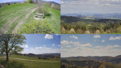 Sdružený snímek Bludný