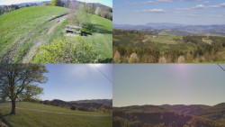 Sdružený snímek Bludný