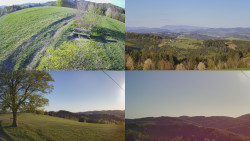 Sdružený snímek Bludný