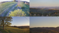 Sdružený snímek Bludný