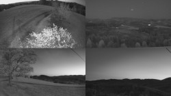 Sdružený snímek Bludný