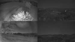 Sdružený snímek Bludný