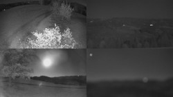 Sdružený snímek Bludný