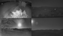 Sdružený snímek Bludný