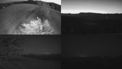 Sdružený snímek Bludný