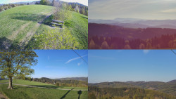 Sdružený snímek Bludný