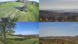 Sdružený snímek Bludný