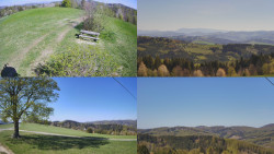 Sdružený snímek Bludný