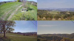 Sdružený snímek Bludný