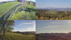 Sdružený snímek Bludný