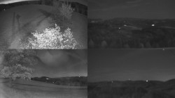 Sdružený snímek Bludný