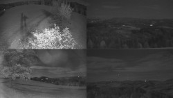 Sdružený snímek Bludný