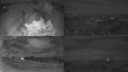 Sdružený snímek Bludný