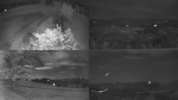 Sdružený snímek Bludný