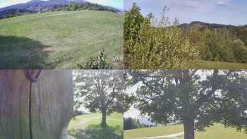 Bludný - Rajnochovice Troják