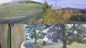 Bludný - Rajnochovice Troják