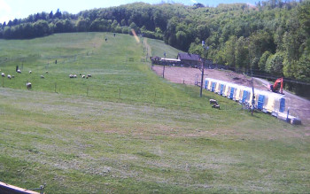 Snímek    13.5.2025 v 13:57