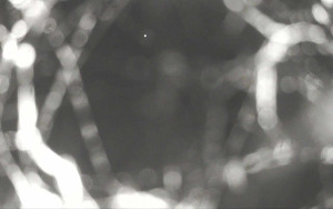 Ski Areál Opálená - Ski Areál Opálená - 21.5.2025 v 01:13