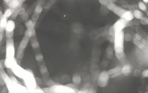 Ski Areál Opálená - Ski Areál Opálená - 21.5.2025 v 03:13