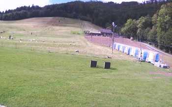 Snímek    17.9.2025 v 11:41