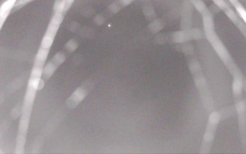Snímek    16.10.2025 v 22:29