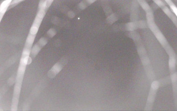 Snímek    16.10.2025 v 22:41