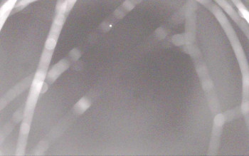 Snímek    17.10.2025 v 06:13