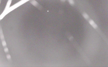 Snímek    19.10.2025 v 03:29